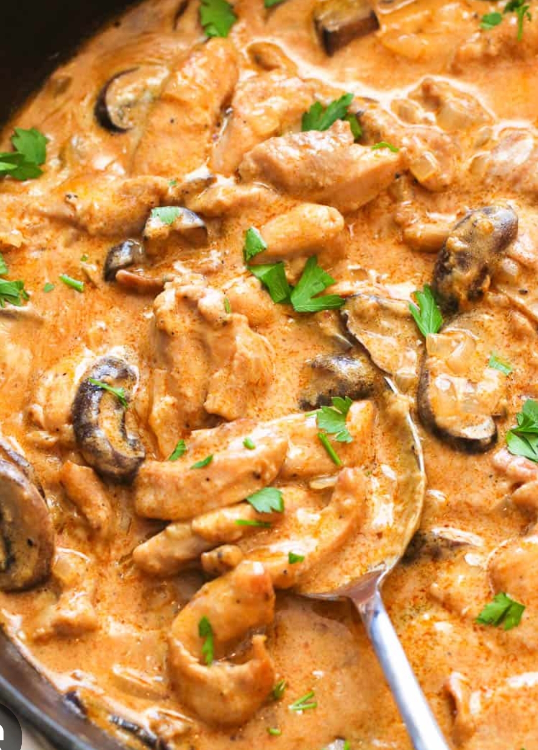 CHICKEN STROGANOFF 